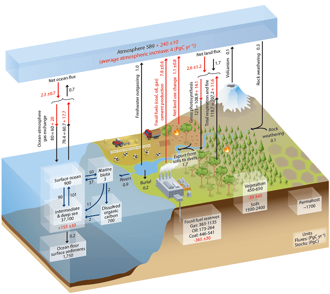 Focus COP 26 – Le sol comme solution climatique | RESES