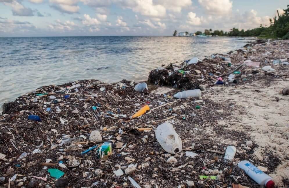 Les pailles en plastique, fléau des océans | RESES