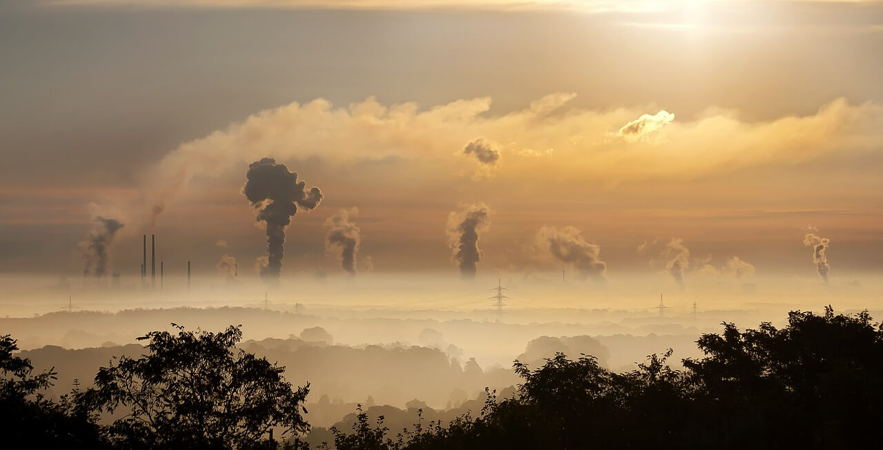 Après la crise : former les citoyen.ne.s aux enjeux écologiques et de solidarité | RESES