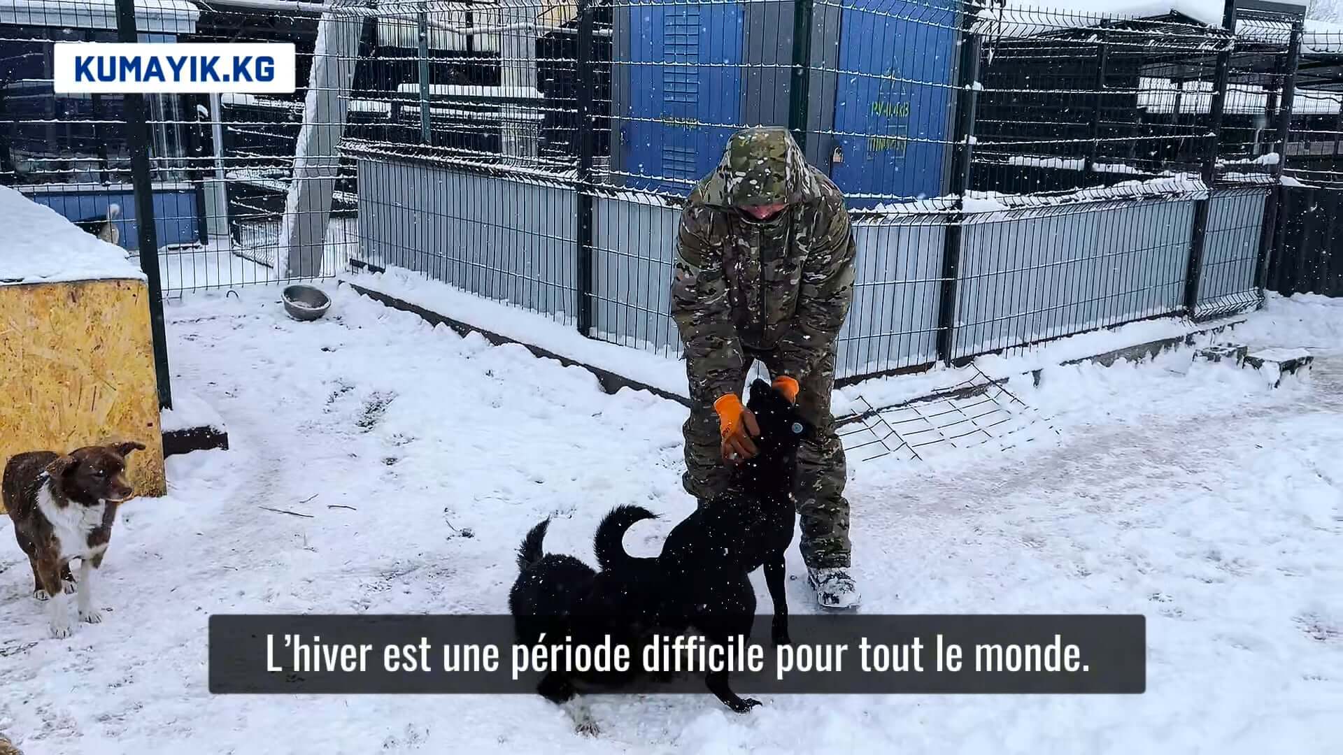 A day with Kumayik Catchers | AFKE