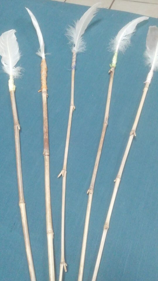 Jouet plume chat | Ch'amis pour la vie