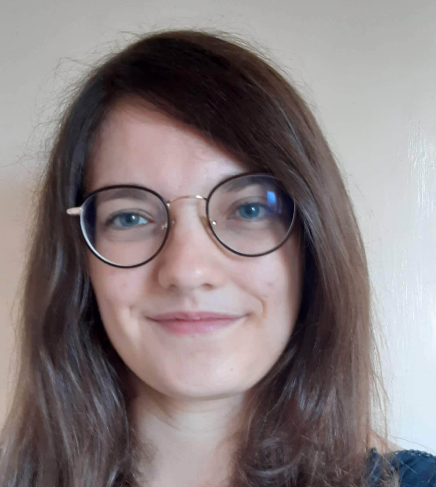 Ferriot, C. | IICIMED