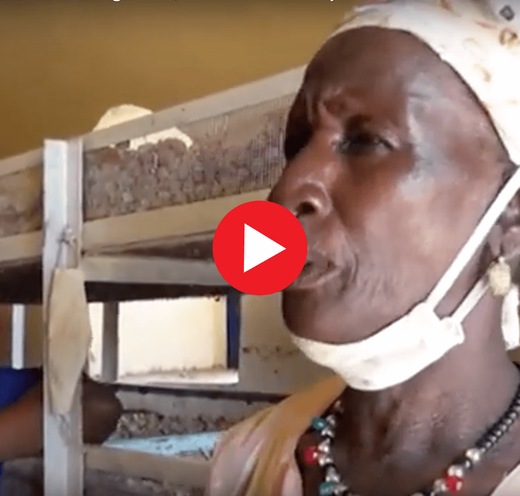 Afou Diarra | La Voûte Nubienne