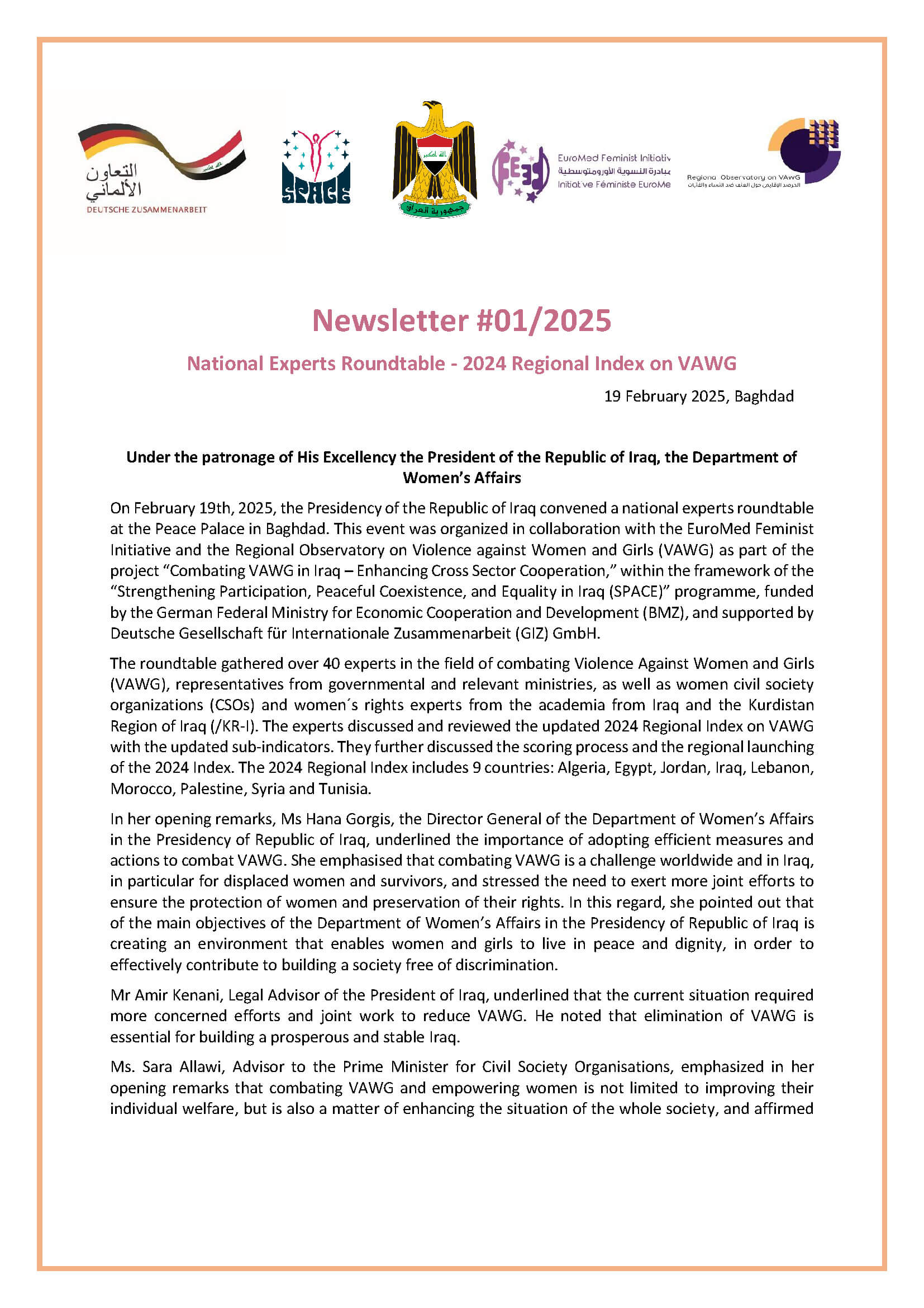 Newsletter: National Experts Roundtable – Updated 2024 Regional Index on VAWG | EFI - EuroMed Feminist Initiative