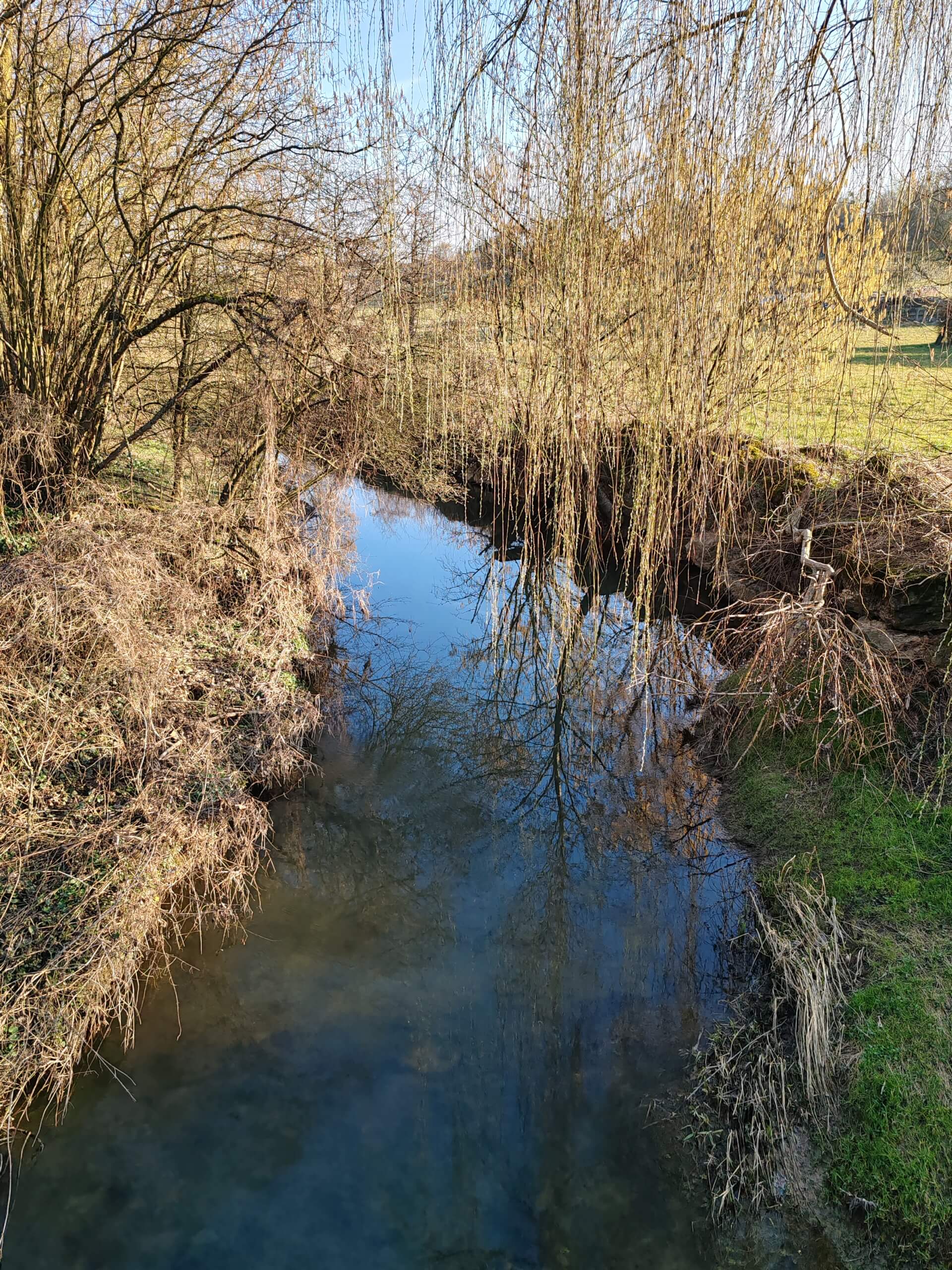 Chantier participatif d'entretien d'un cours d'eau | La contrée des minis