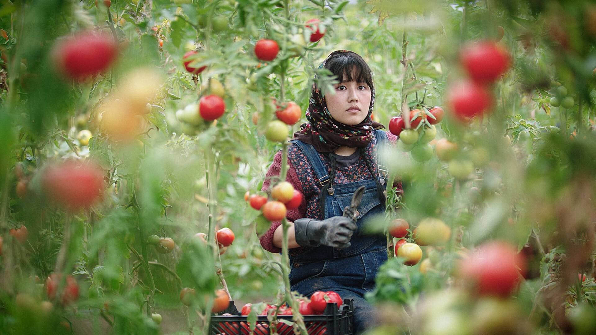 Au pays de nos frères : la réalité des réfugiés afghans en Iran, entre survie et résilience | TACK