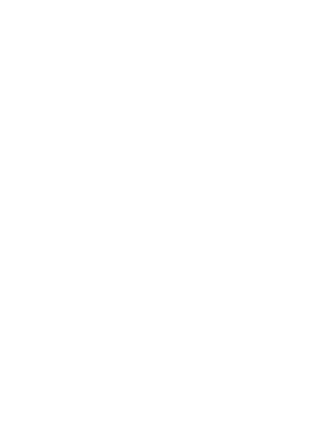 Point fort | Festival Emmaüs Solidarité