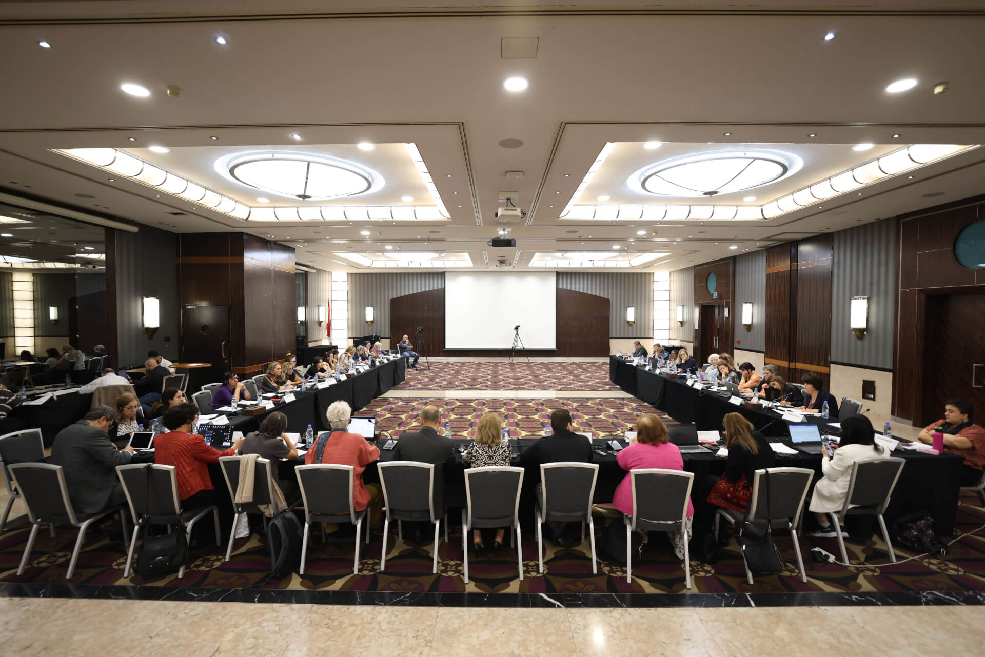 EFI - EuroMed Feminist Initiative