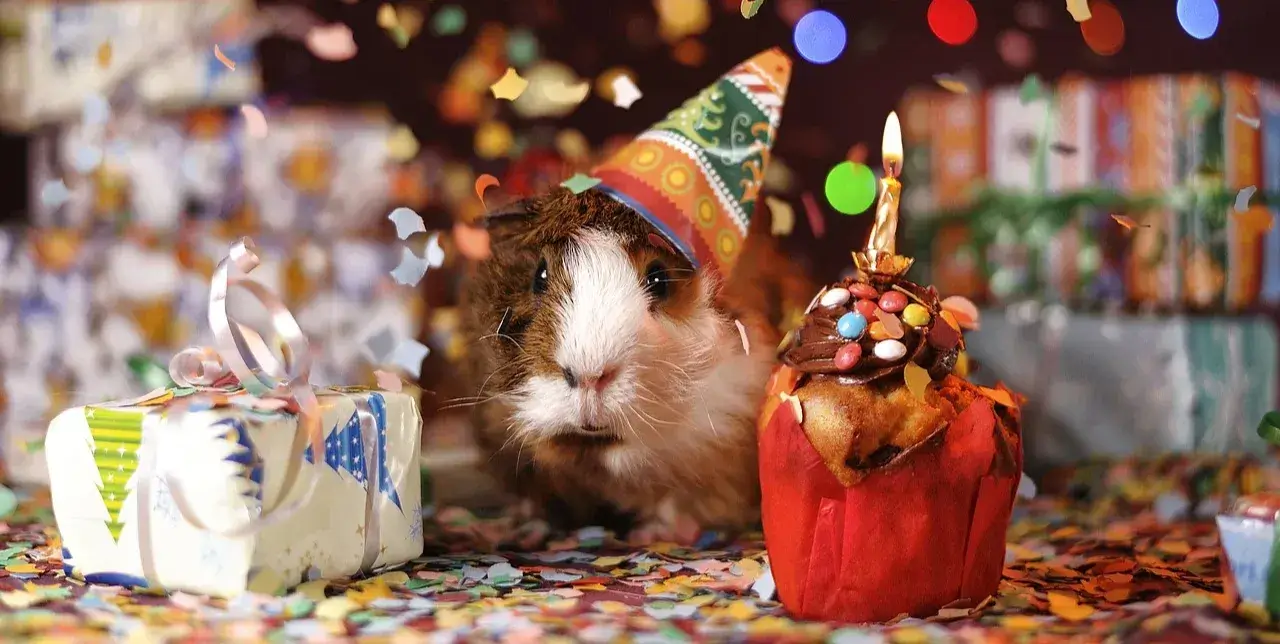 La contrée des minis