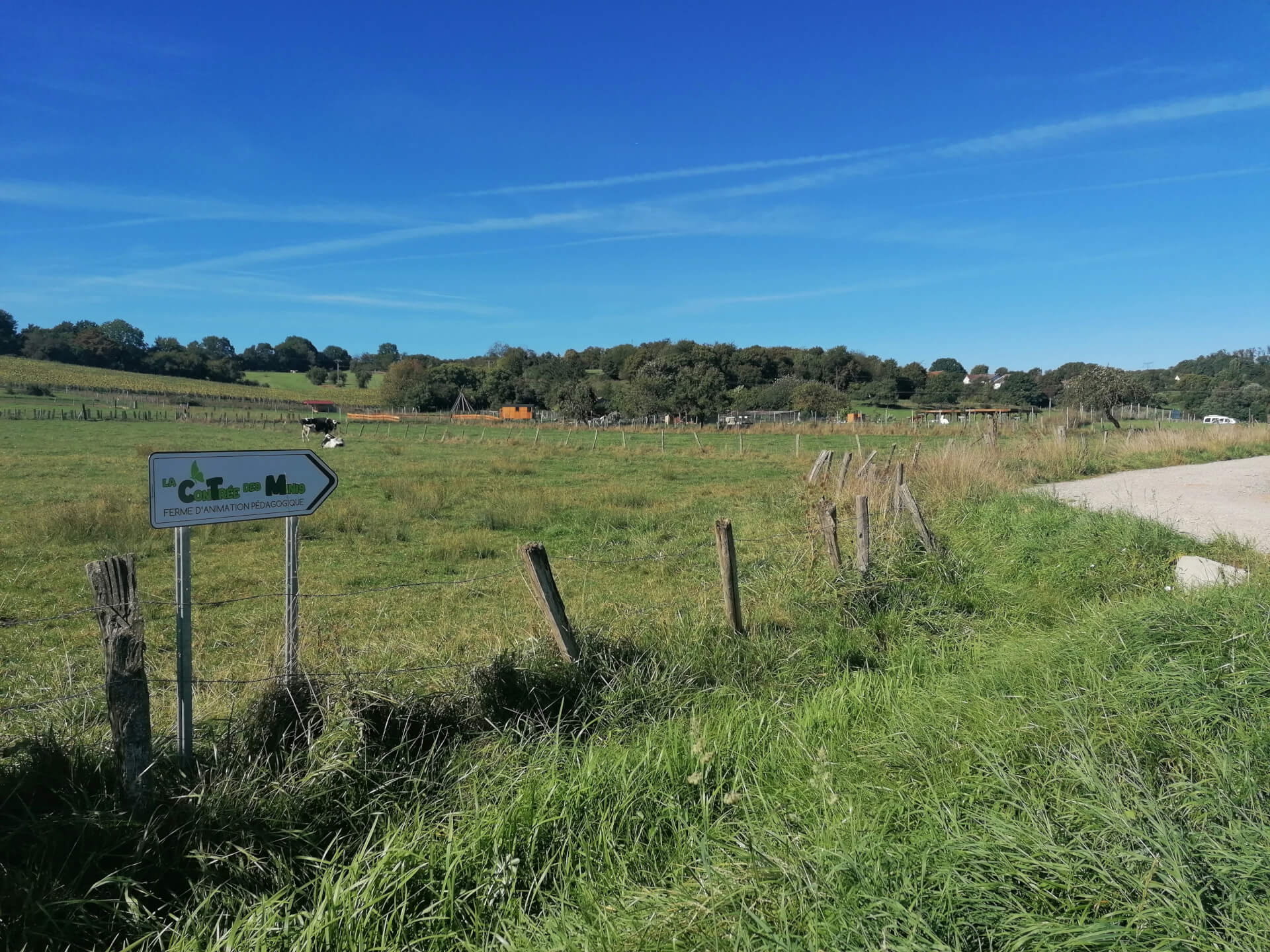 La contrée des minis