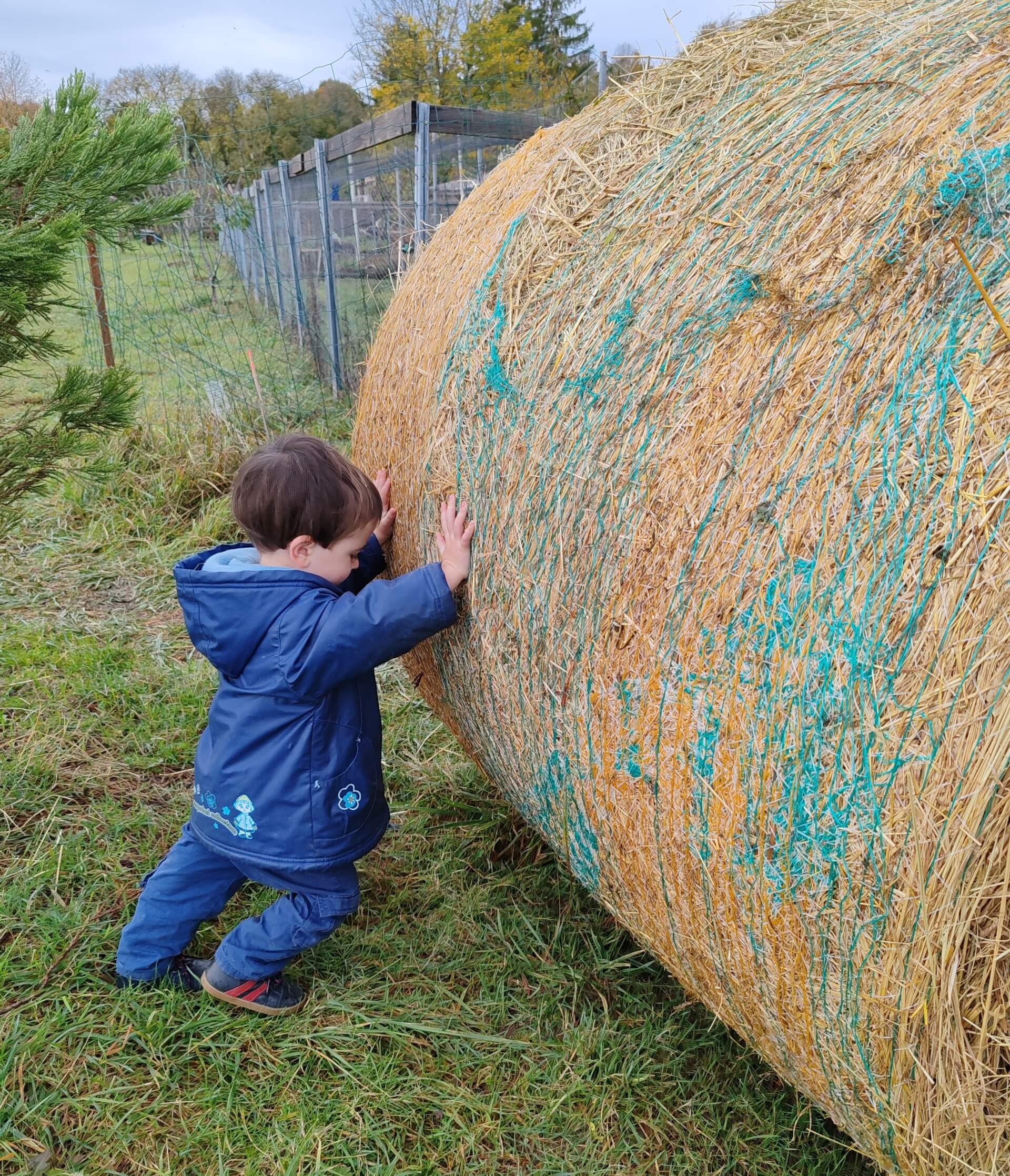 La contrée des minis