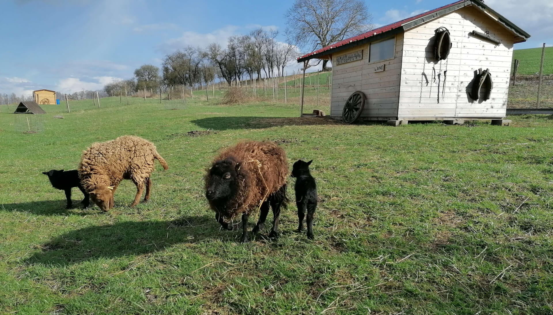 La contrée des minis