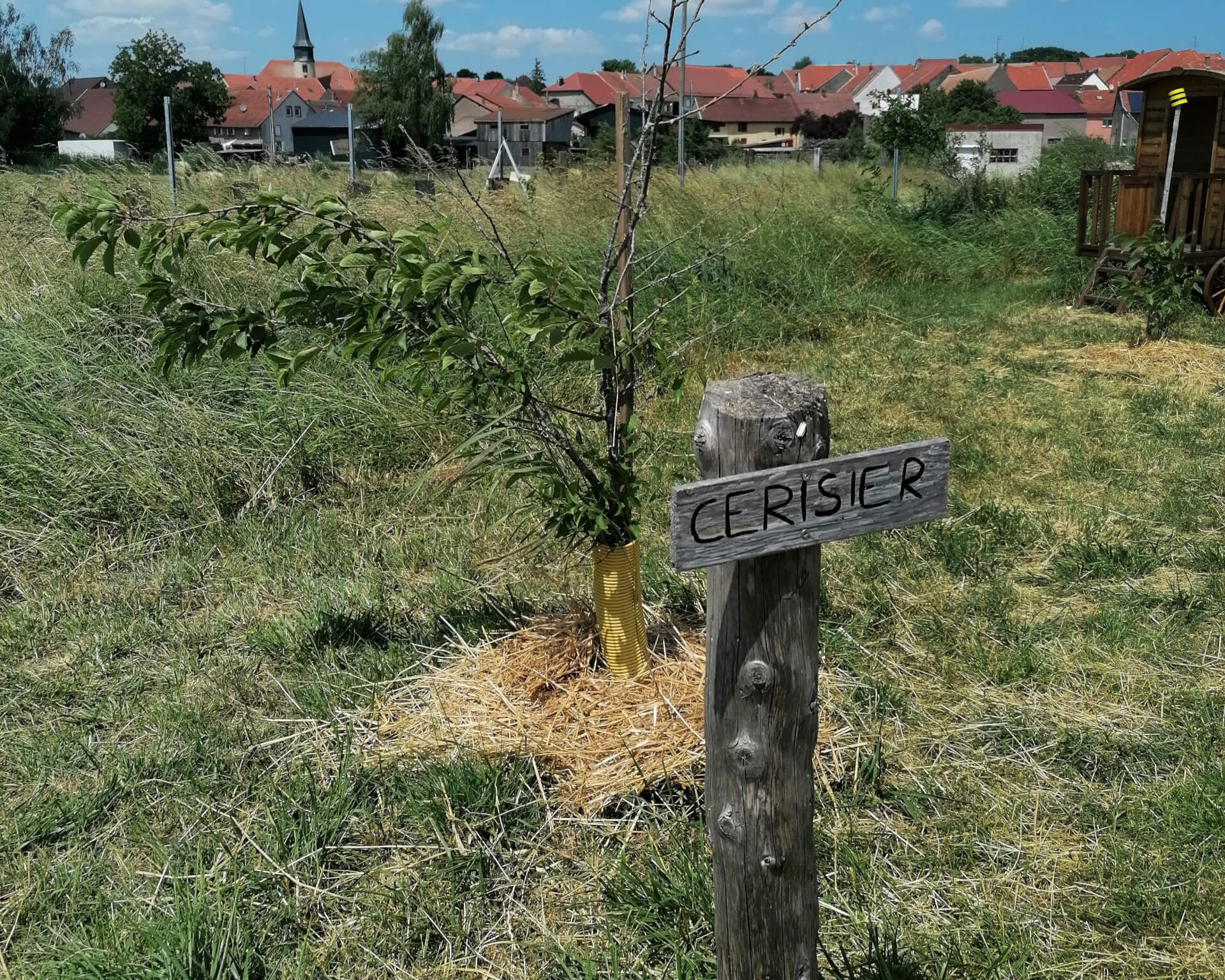 La contrée des minis