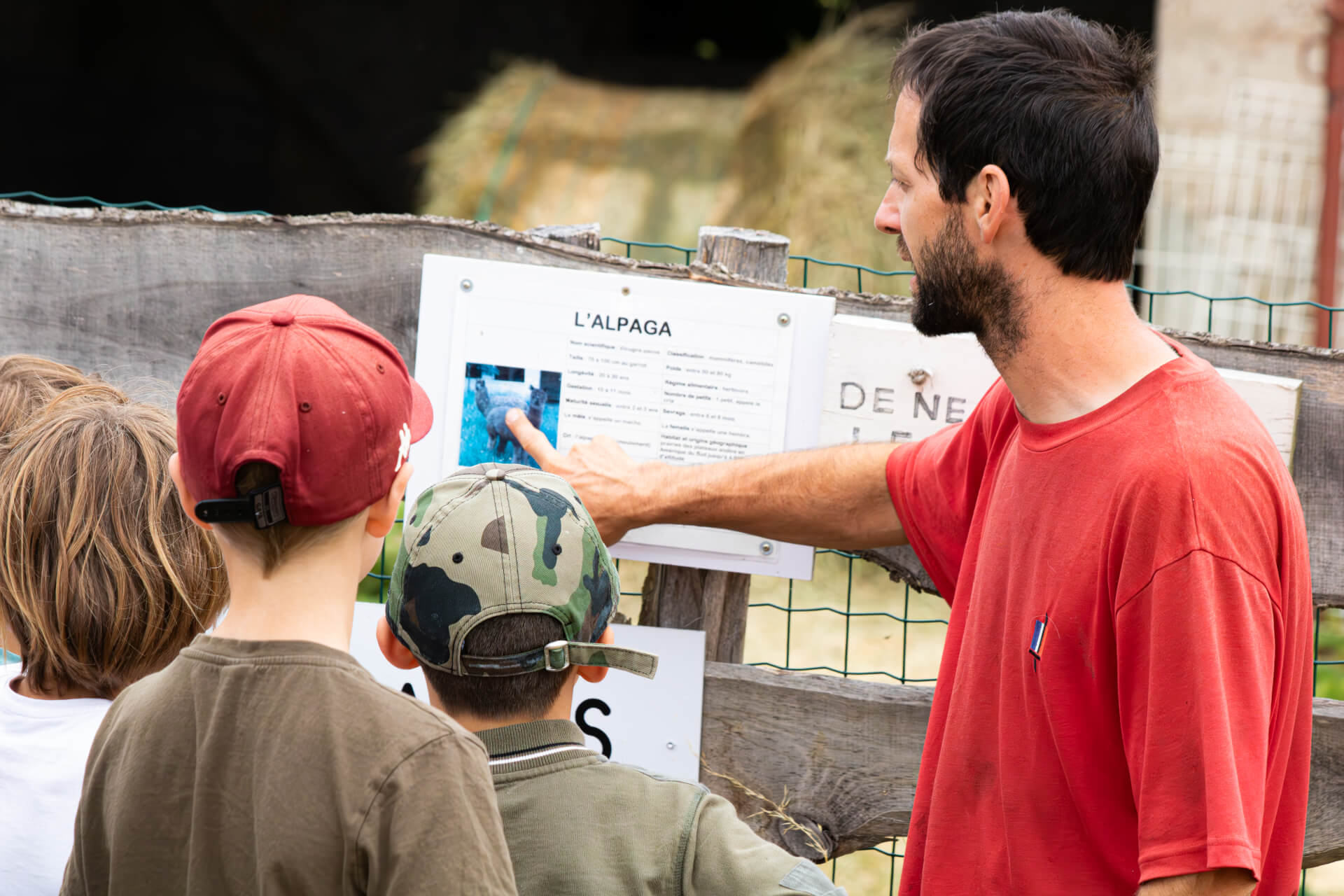 La contrée des minis