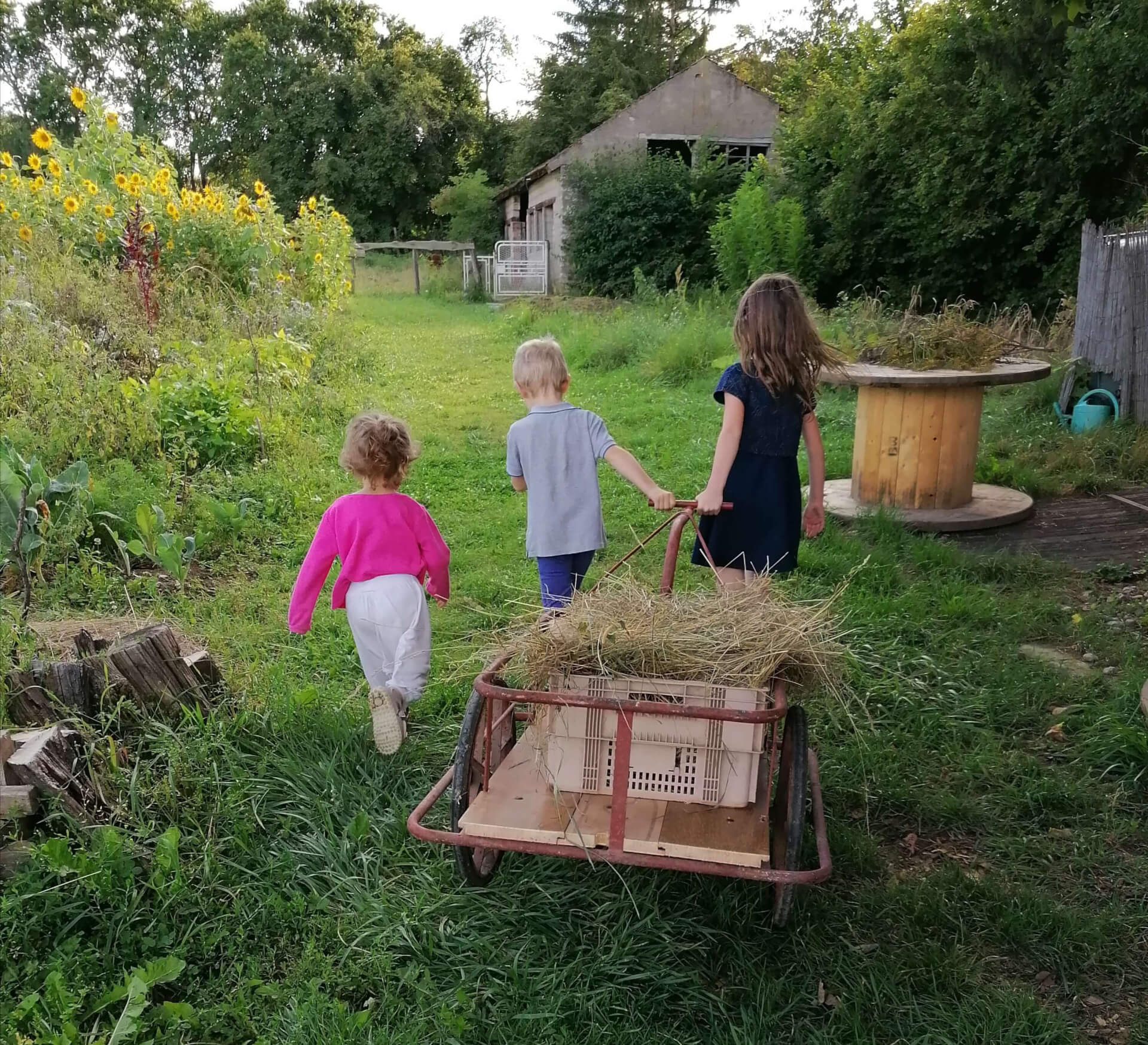 La contrée des minis