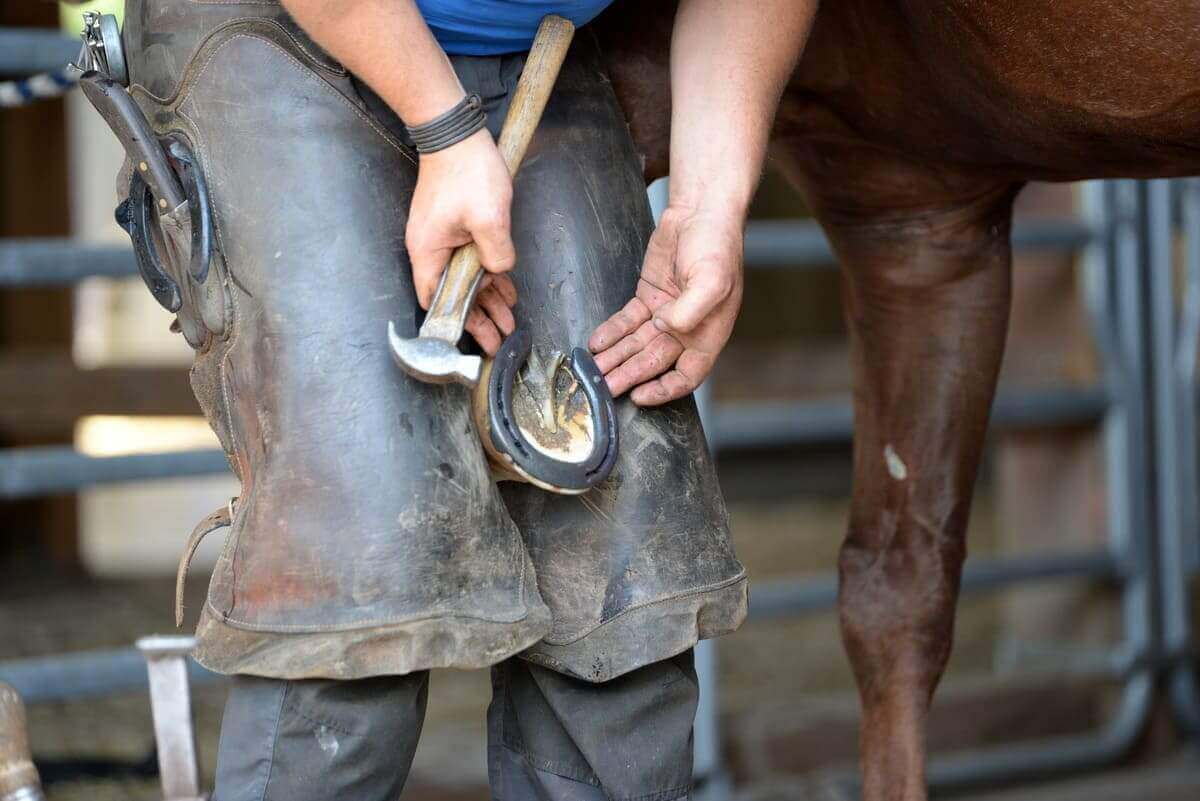 Autre | L'Outil en Main France