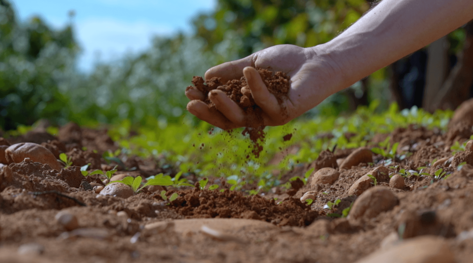 Vidéact’ En mouvement vidéo