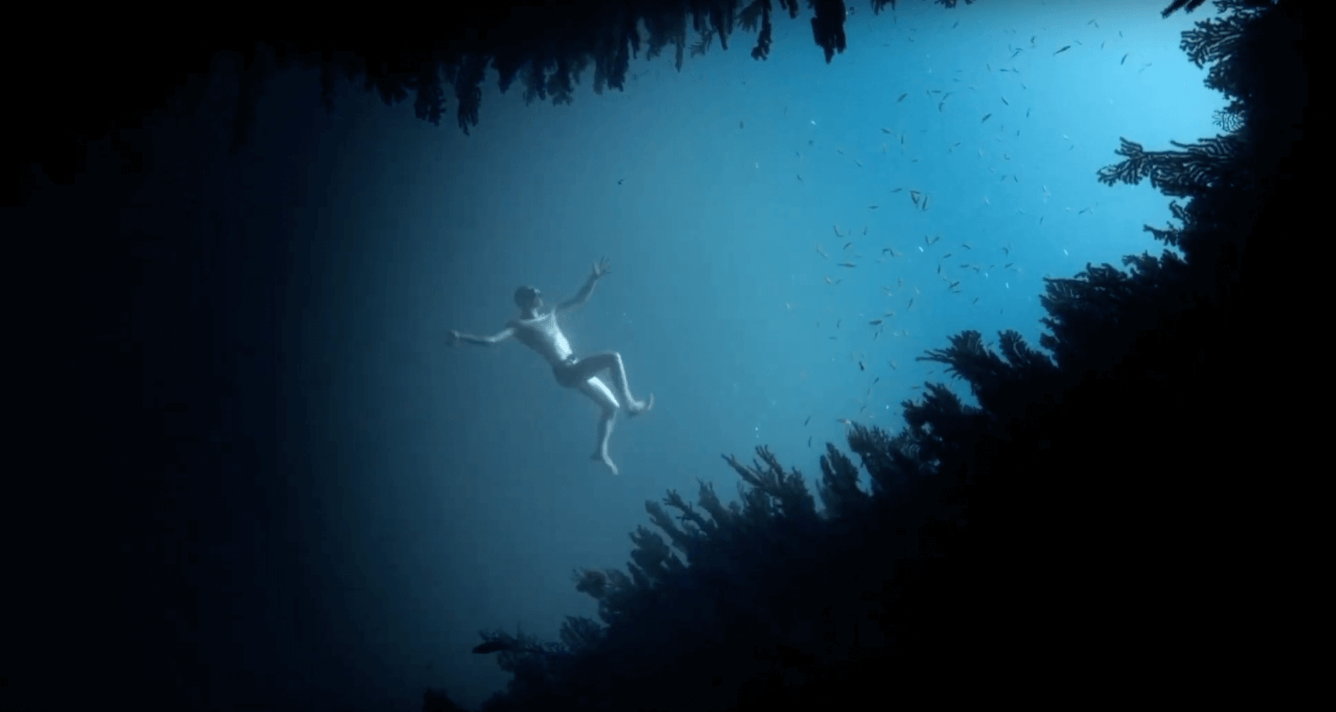 Teaser, Bande annonce | Vidéact’ En mouvement vidéo