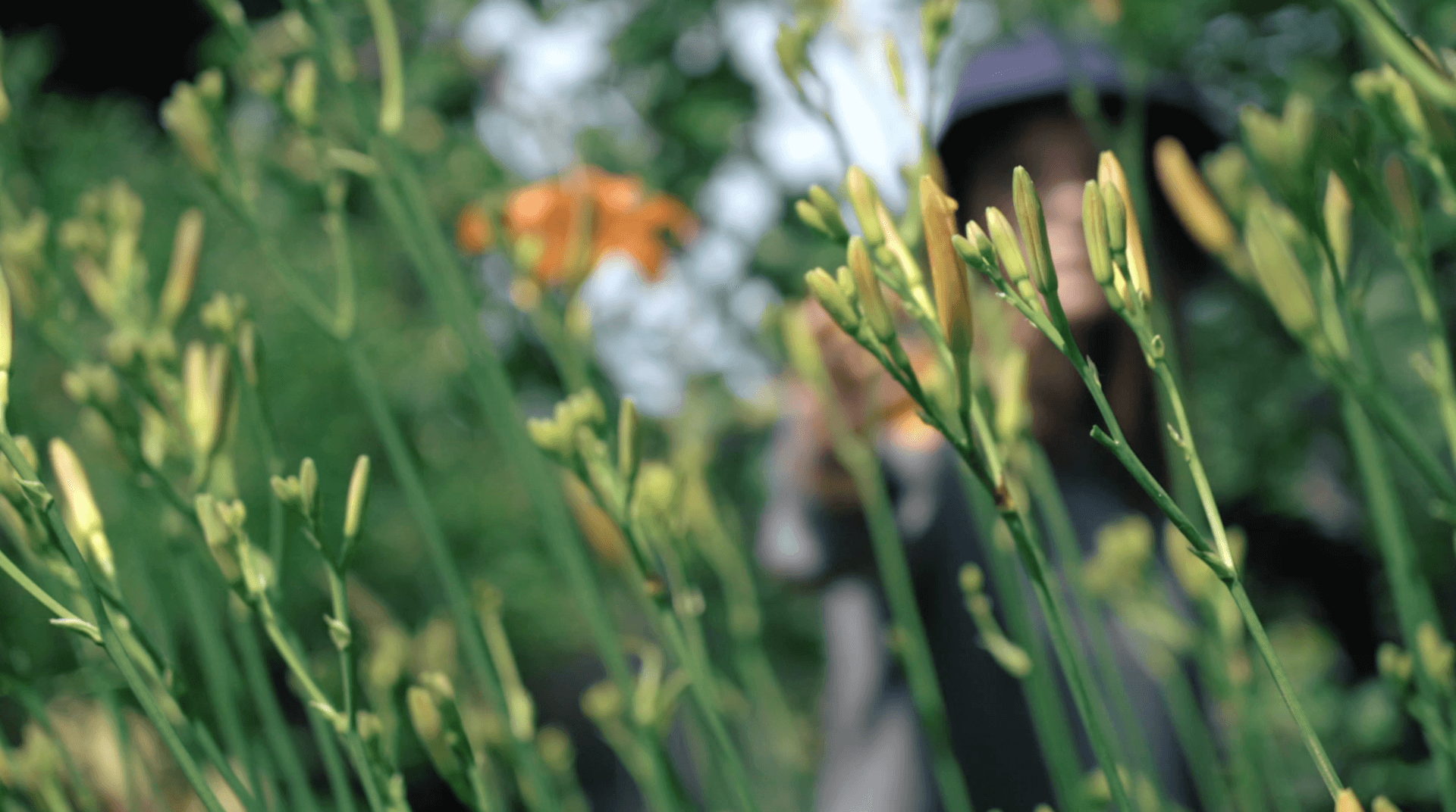 Reportage poétique | Vidéact’ En mouvement vidéo