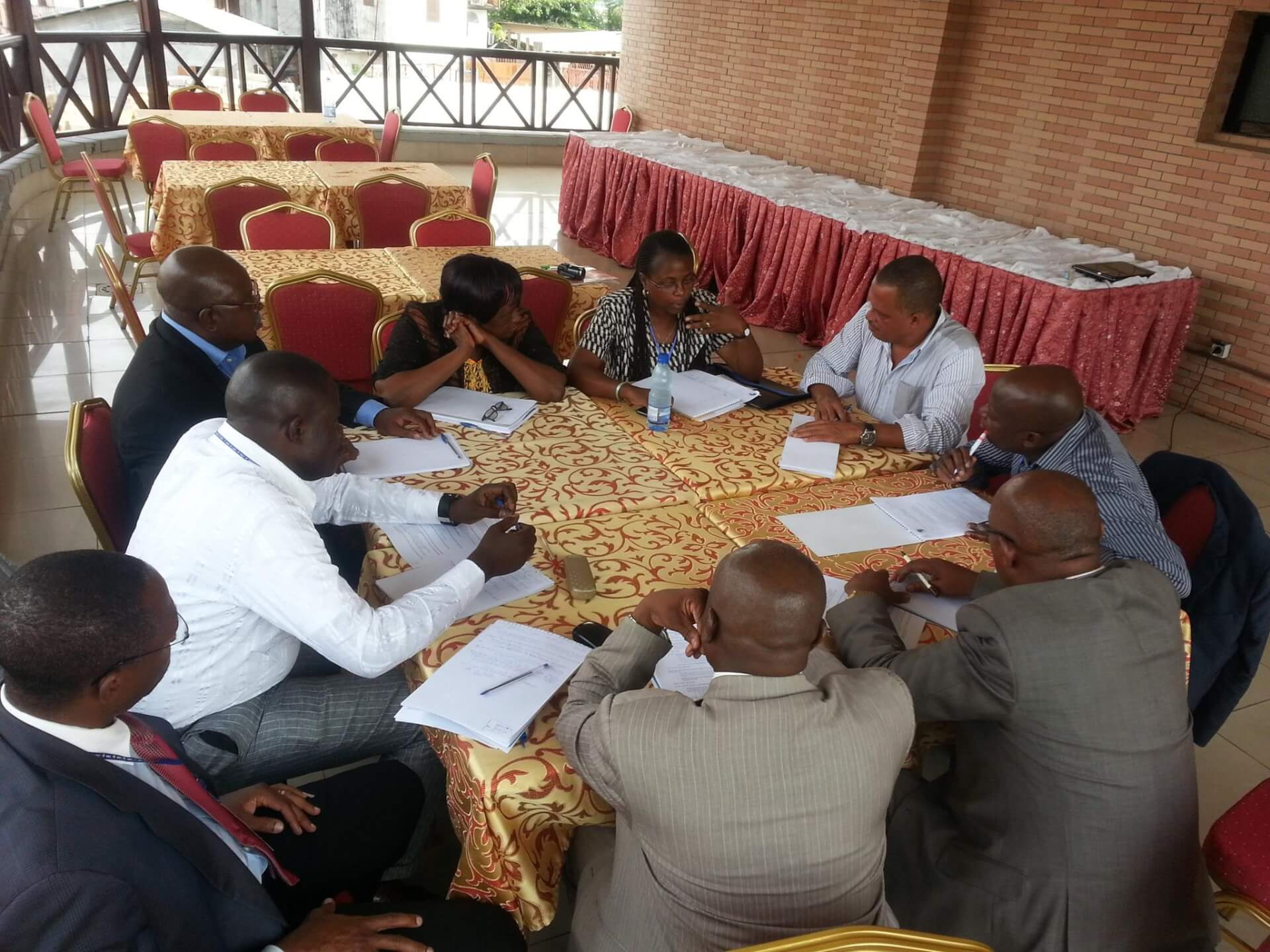 Groupes de travail | REPONGAC - Réseau des Plate-formes des ONG de l'Afrique Centrale