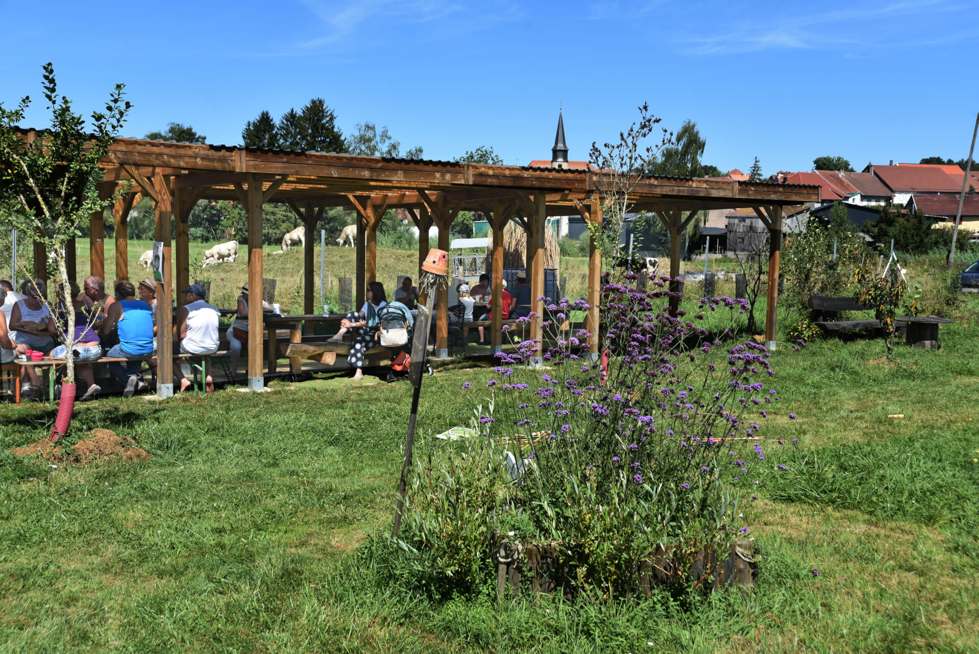 La contrée des minis