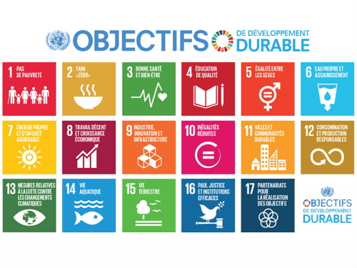 Les ODD et leur appropriation par les acteurs non-étatiques français | La Voûte Nubienne