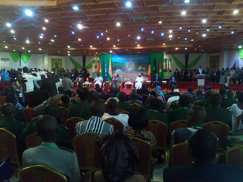 - | La Voûte Nubienne