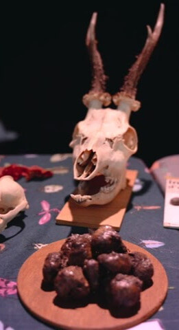 La petite fête de l'Arbre 2025 | Vidéact’ En mouvement vidéo