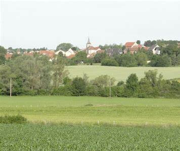 Sortie nature - Balade printanière à Haut-Clocher (2ème session) | La contrée des minis