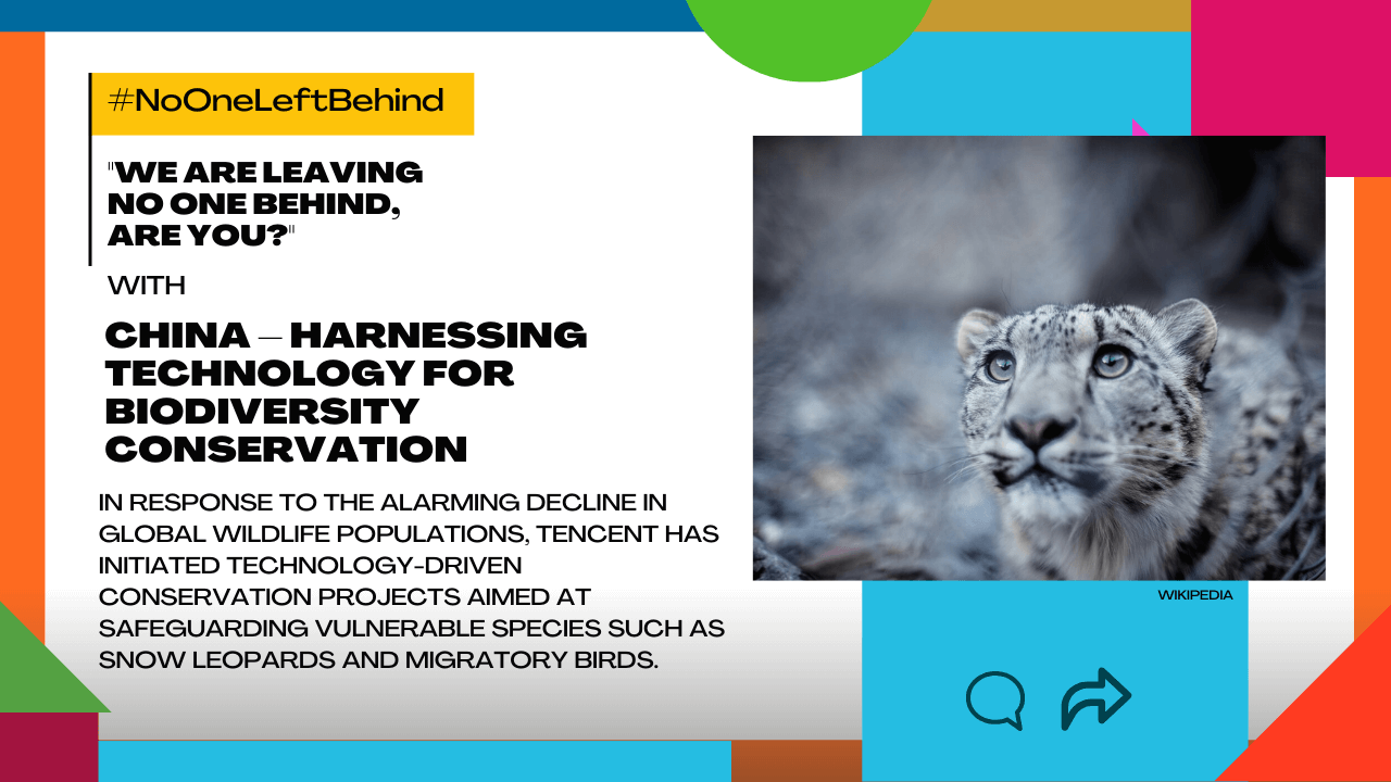 How China is protecting snow leopards and migratory birds through digital innovation | Forus