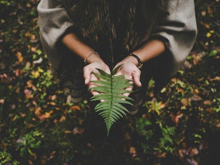 Sortie nature - RANDO MOSELLE - RANDONNEE CREATIVE : LAISSEZ LA NATURE VOUS INSPIRER | La contrée des minis