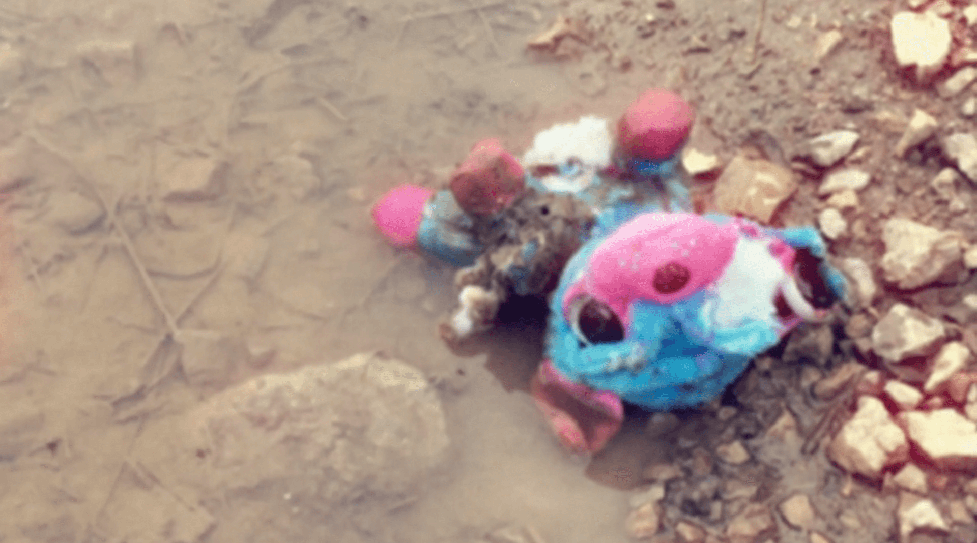 Some Strings : saint jean-de-la-forêt, 2024 | Festival Ciné-Palestine - FCP