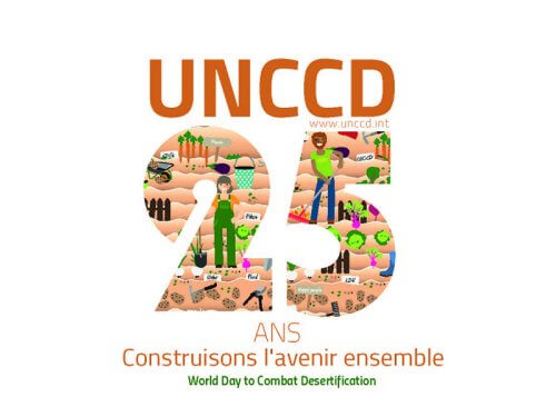 Un habitat adapté pour lutter contre la désertification | La Voûte Nubienne