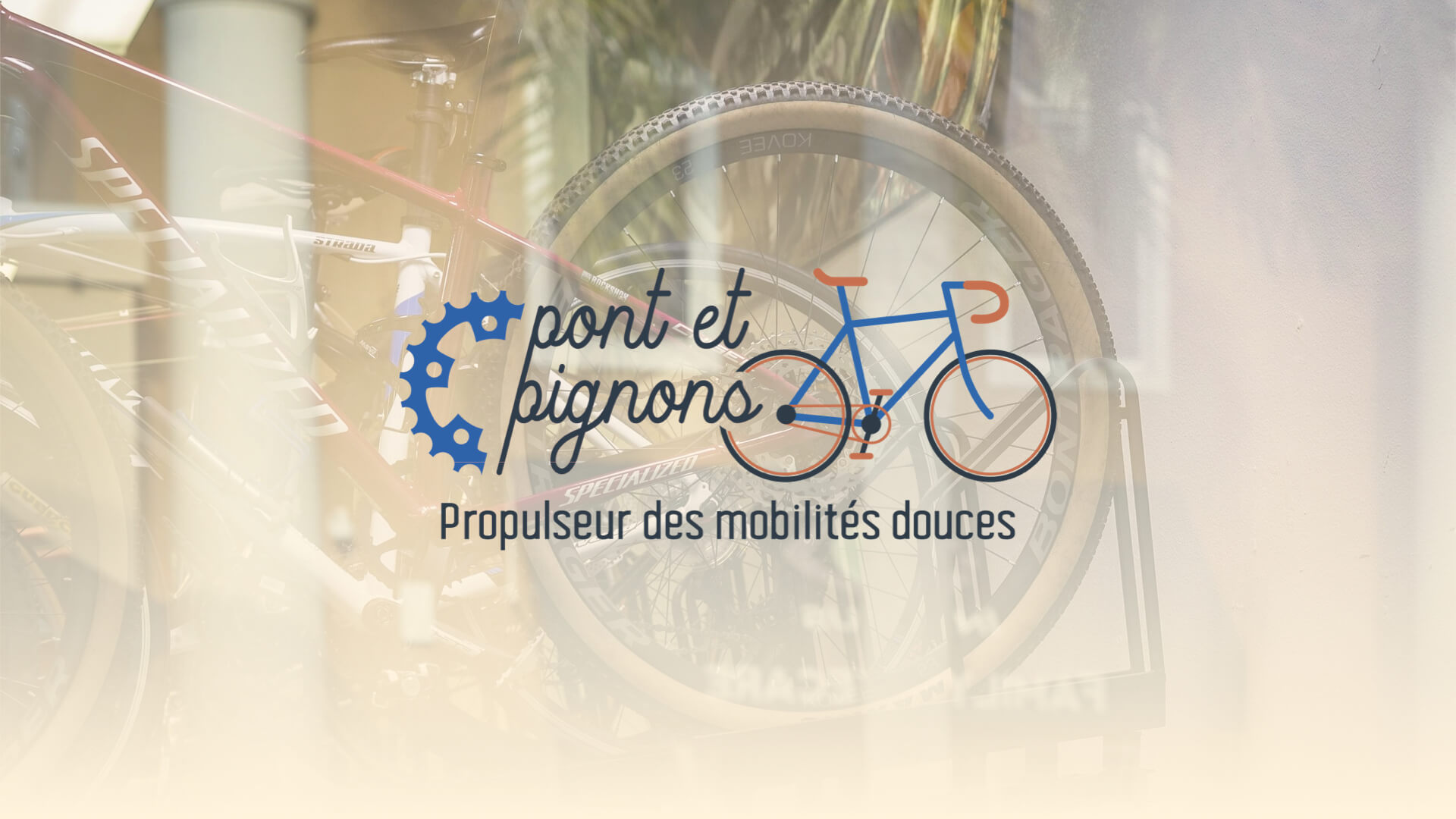 Pont et Pignons | What The Web