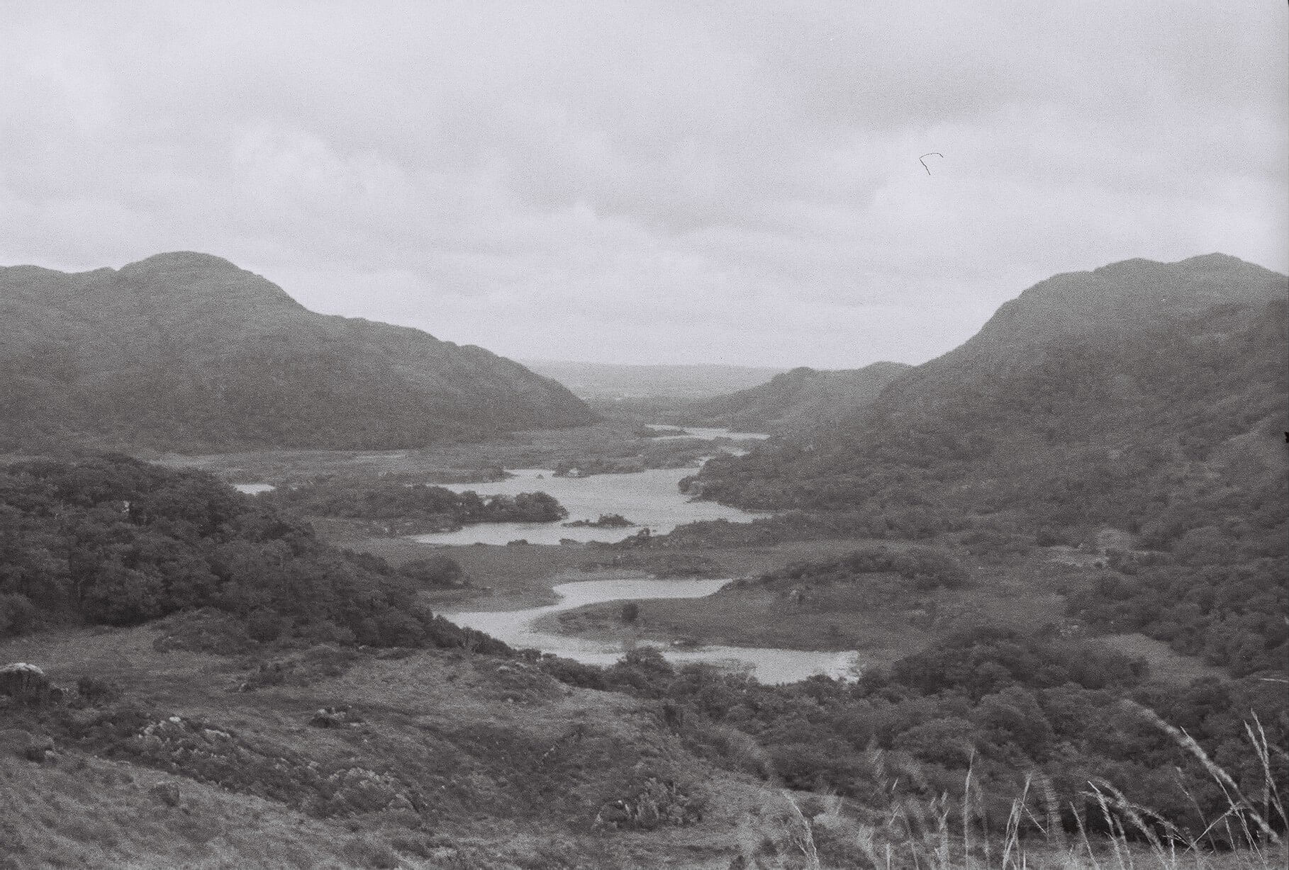 J'ai testé pour vous : le Wwoofing en Irlande | RESES