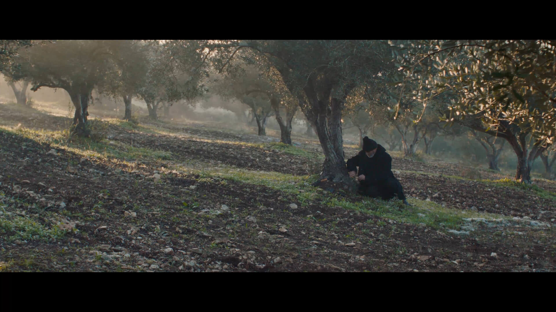 COURTS-MÉTRAGES INÉDITS | Festival Ciné-Palestine - FCP