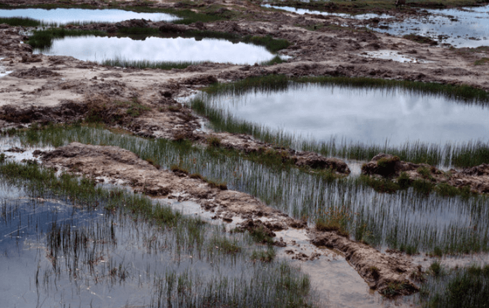 NMĐRN 1.5 - Nỗi đau vẫn còn đây | Vietnam Fraternité