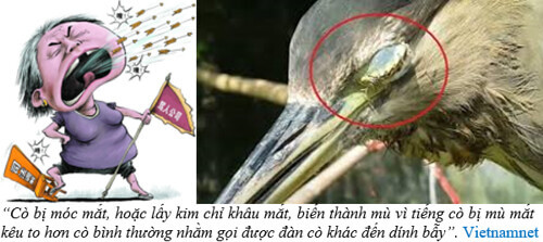 Mạ thủ & Cò mù | Vietnam Fraternité