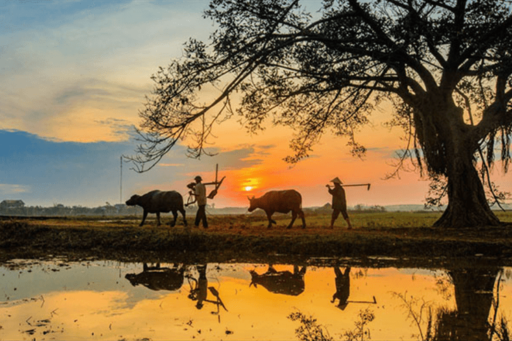 Yêu nước và ghét nước | Vietnam Fraternité