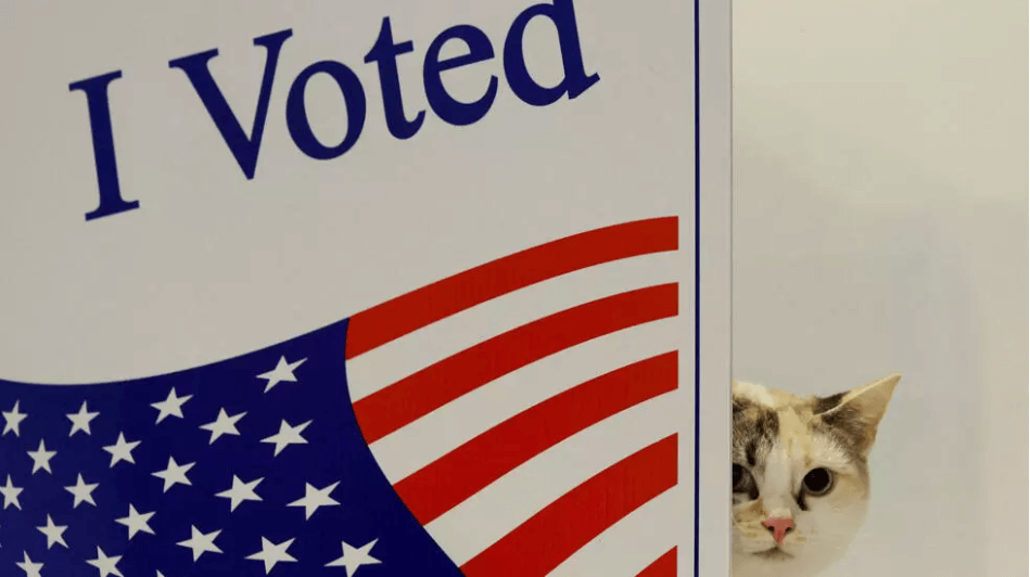 Điểm báo Pháp - Bầu cử tổng thống Mỹ 2024 | Vietnam Fraternité