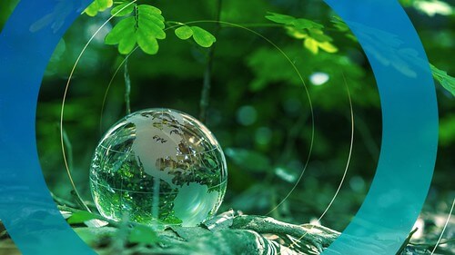 22 tháng 4, Ngày Trái Đất | Vietnam Fraternité