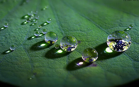 Người Hoa tại Việt Nam - Phần Hai | Vietnam Fraternité