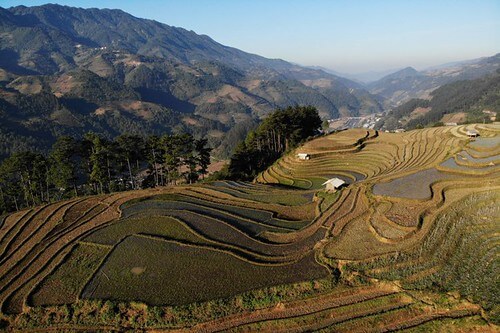 Chẳng cần gì, chỉ cần đường | Vietnam Fraternité