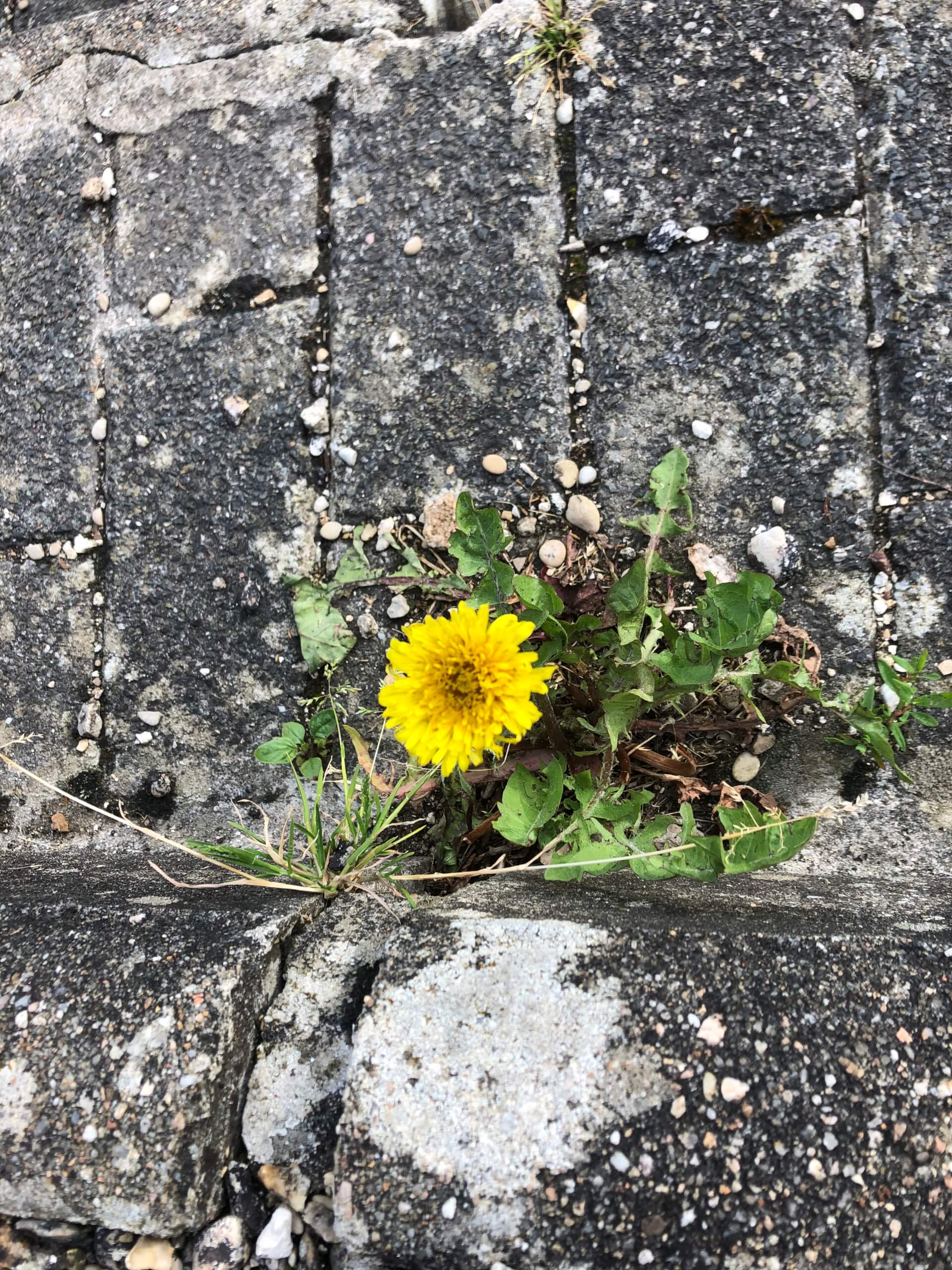 Tin tức thời sự truyền hình 28/05/2025 | Vietnam Fraternité