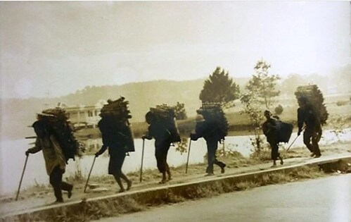 Người Thượng bán ngo | Vietnam Fraternité