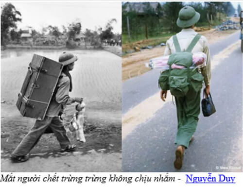 Chết không nhắm mắt | Vietnam Fraternité