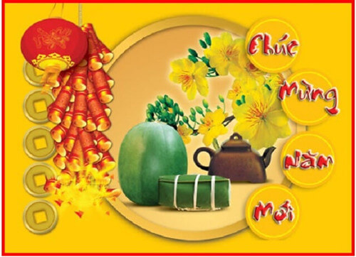 Năm mão nói chuyện mèo | Vietnam Fraternité