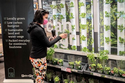 Canh tác theo phương pháp thẳng đứng : có thể phát triển đại trà ? | Vietnam Fraternité