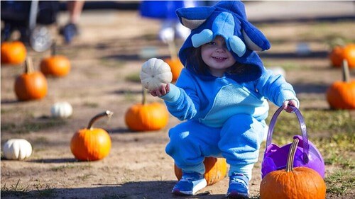 Halloween và những ca khúc khó quên | Vietnam Fraternité