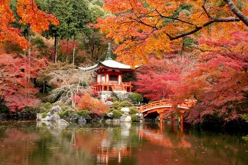 Trí khôn | Vietnam Fraternité